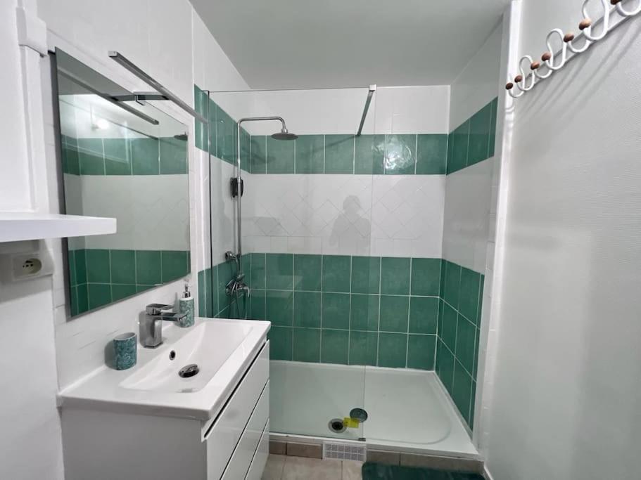 Appartement Au Duleing House ออร์เลออง ภายนอก รูปภาพ