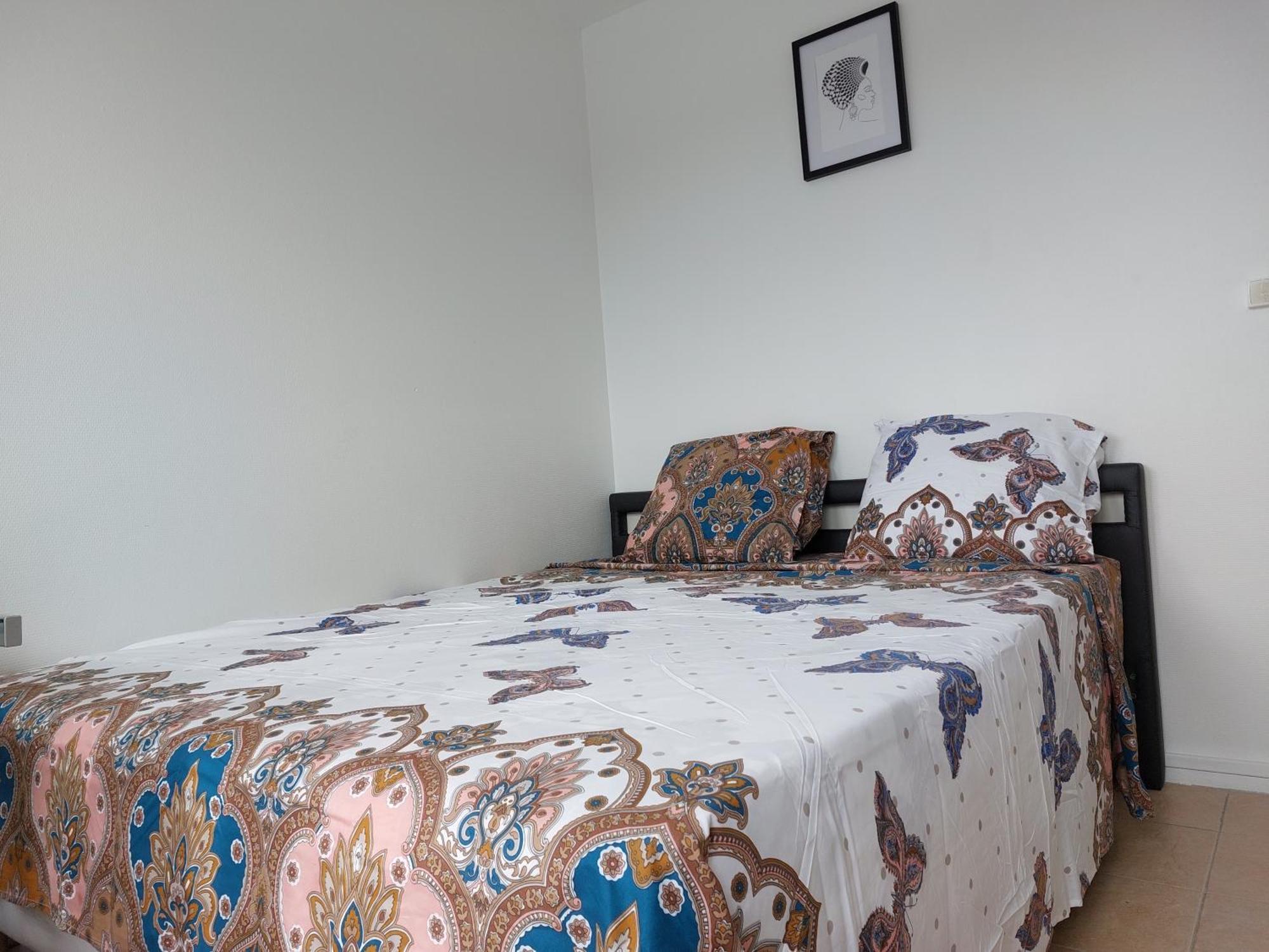 Appartement Au Duleing House ออร์เลออง ภายนอก รูปภาพ