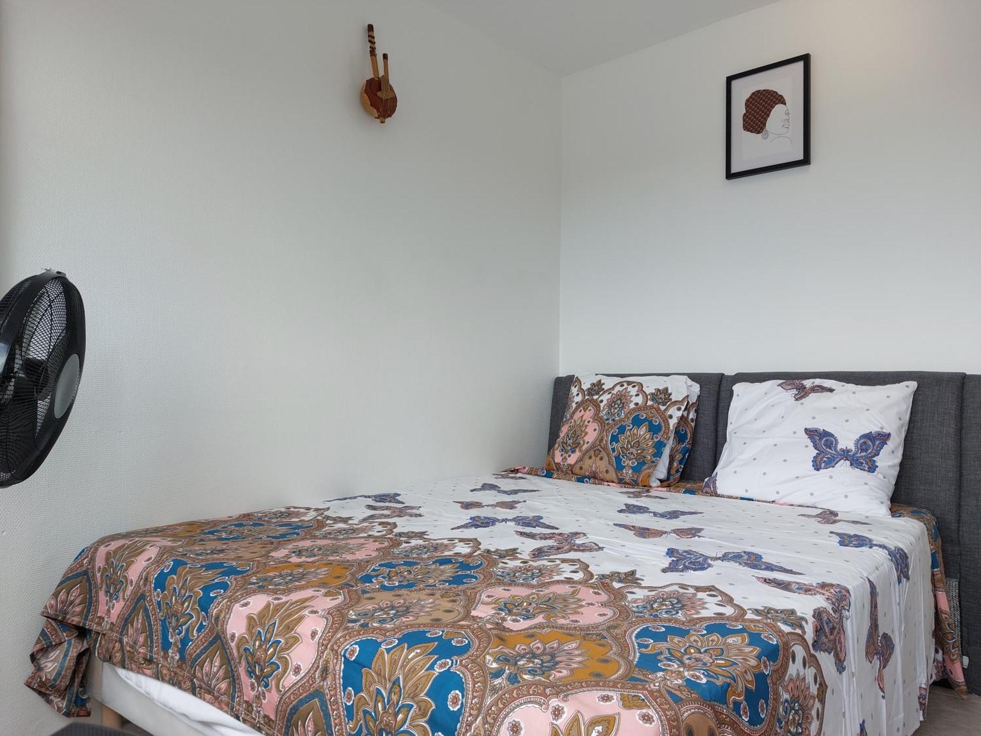Appartement Au Duleing House ออร์เลออง ภายนอก รูปภาพ