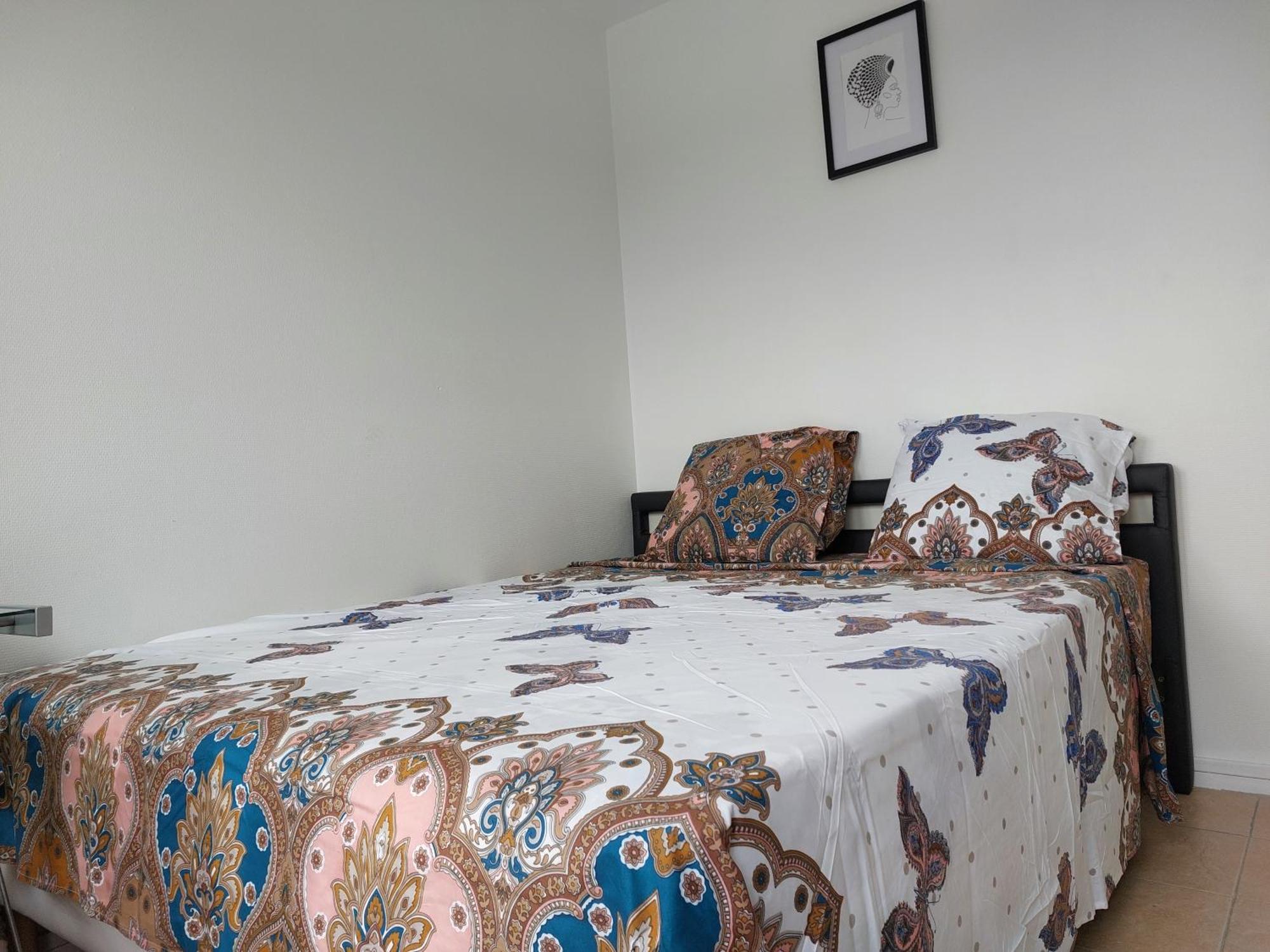 Appartement Au Duleing House ออร์เลออง ภายนอก รูปภาพ