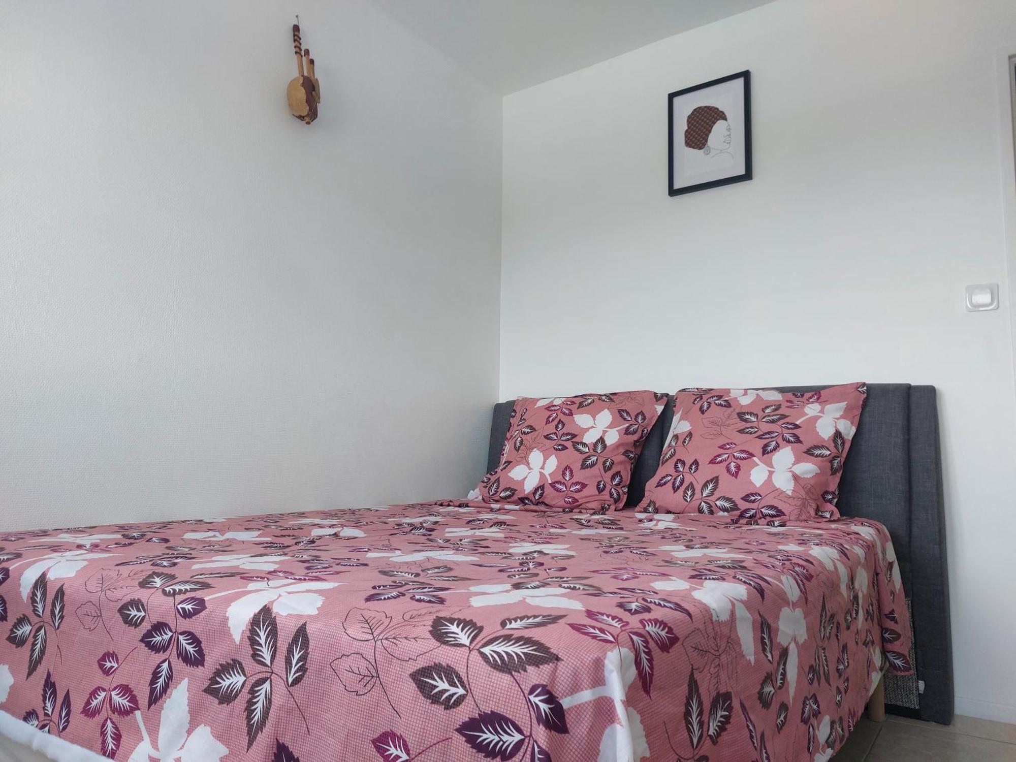 Appartement Au Duleing House ออร์เลออง ภายนอก รูปภาพ