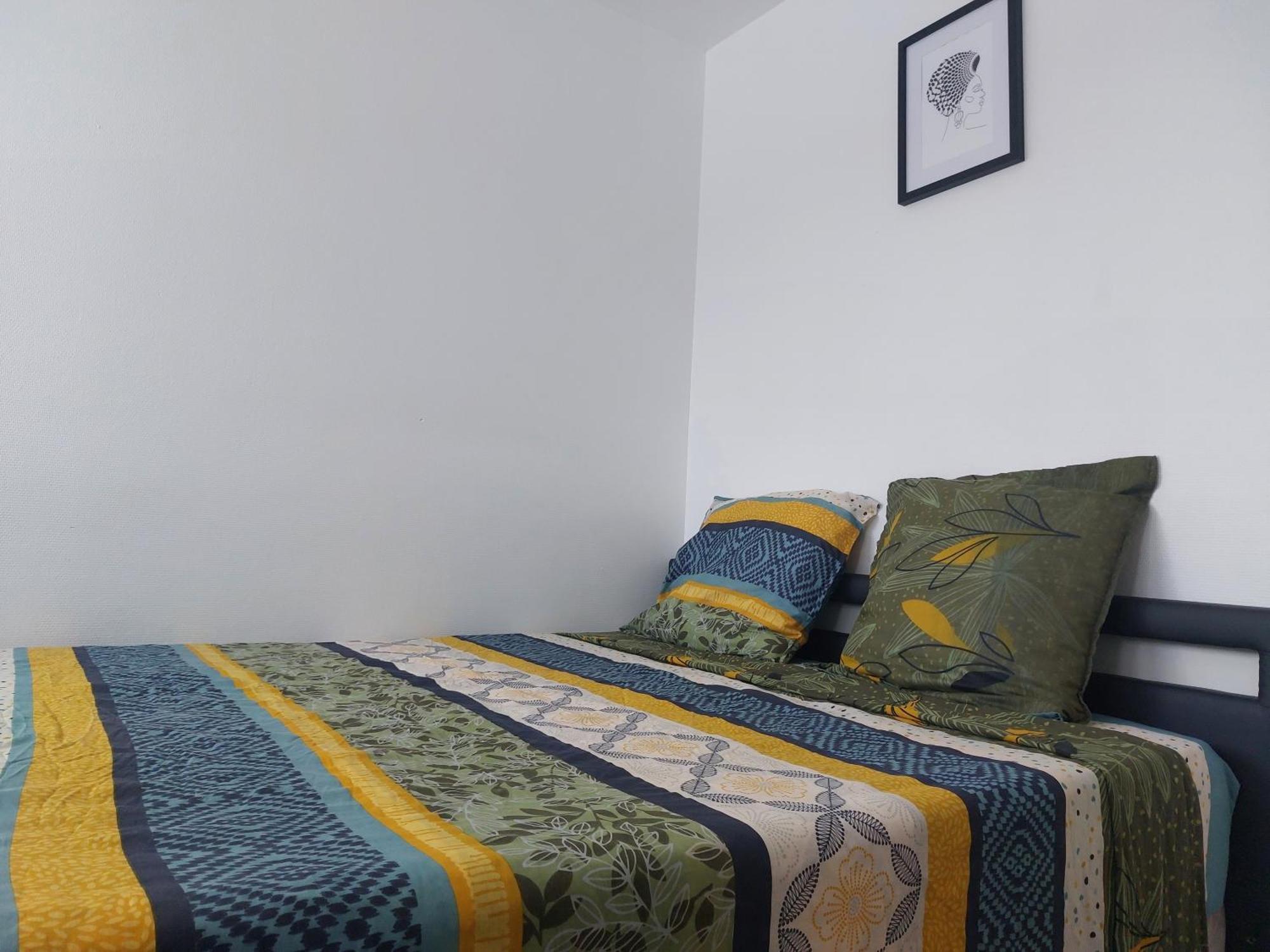Appartement Au Duleing House ออร์เลออง ภายนอก รูปภาพ