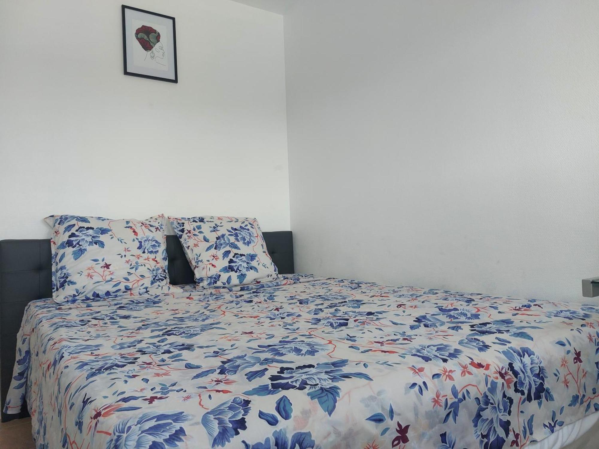 Appartement Au Duleing House ออร์เลออง ภายนอก รูปภาพ